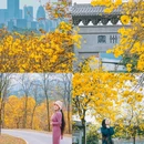 青秀山风铃谷 - 南宁市旅游 缩略图 1