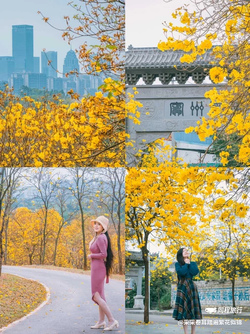 青秀山风铃谷 - 南宁市旅游