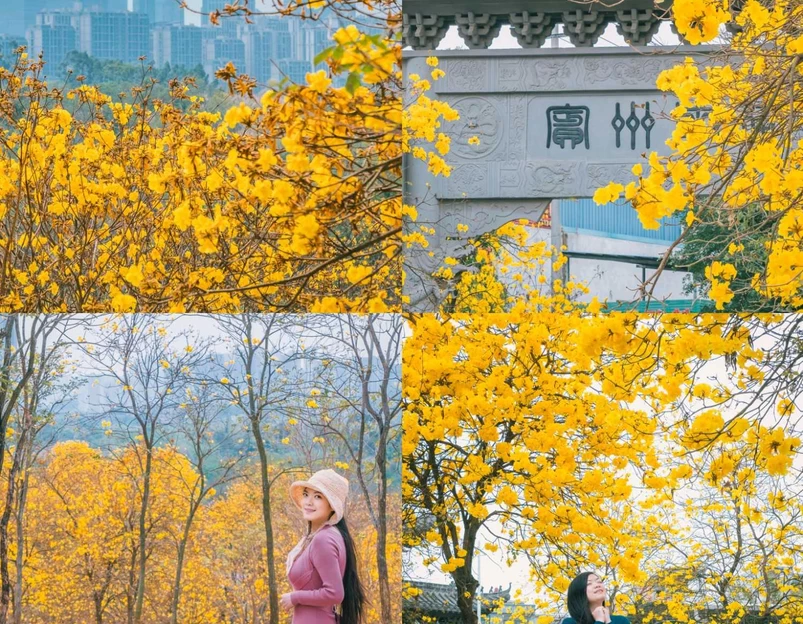 青秀山风铃谷 - 南宁市旅游 1