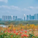 青秀山风铃谷 - 南宁市旅游 缩略图 6
