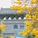青秀山风铃谷 - 南宁市旅游 缩略图 7