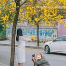 青秀山风铃谷 - 南宁市旅游 缩略图 9