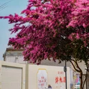 皇废基 - 苏州市旅游 缩略图 6