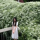 四川大学(望江校区) - 成都市旅游 缩略图 5