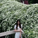 四川大学(望江校区) - 成都市旅游 缩略图 9
