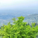 步云山居 - 成都市旅游 缩略图 4