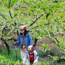 步云山居 - 成都市旅游 缩略图 1