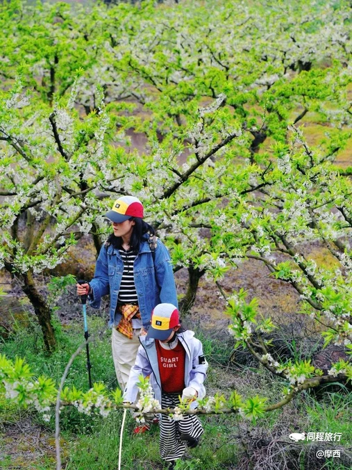 步云山居 - 成都市旅游