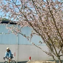 江南慢村景区 - 杭州市旅游 缩略图 5
