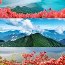 安徽天堂寨风景区 - 六安市旅游 缩略图 2