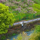 云和湖仙宫景区 - 丽水市旅游 缩略图 4