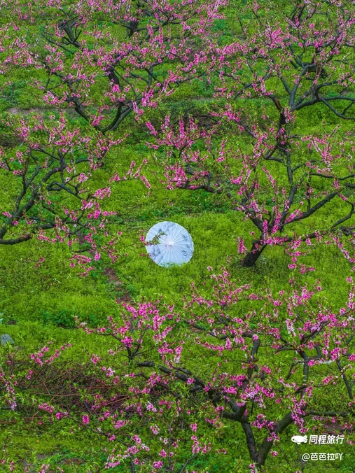 云和湖仙宫景区 - 丽水市旅游