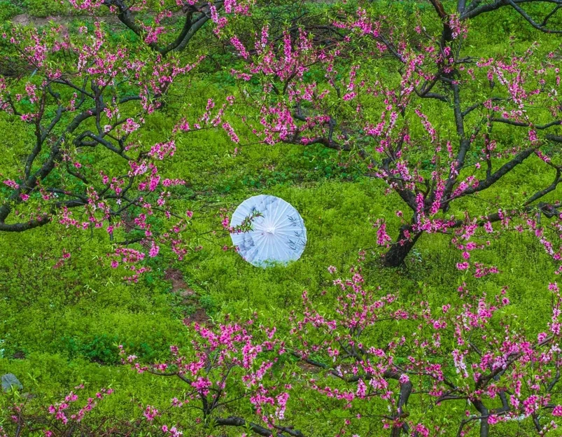 云和湖仙宫景区 - 丽水市旅游 1