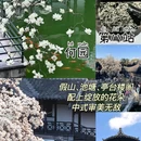 瘦西湖风景区-游船码头 - 扬州市旅游 缩略图 9