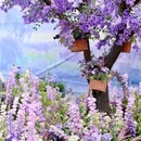 西北旺万象汇管理中心 - 北京市旅游 缩略图 2
