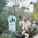 熊猫谷 - 成都市旅游 缩略图 3