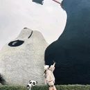 熊猫谷 - 成都市旅游 缩略图 2