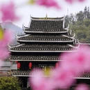 程阳八寨景区 - 柳州市旅游 缩略图 3
