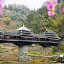 程阳八寨景区 - 柳州市旅游 缩略图 4