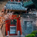 迎泽公园 - 太原市旅游 缩略图 8