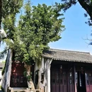 海宁东山公园 - 嘉兴市旅游 缩略图 7
