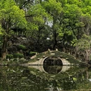 绮园景区 - 嘉兴旅游 缩略图 1