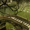 绮园景区 - 嘉兴旅游 缩略图 2