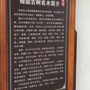 绮园景区 - 嘉兴旅游 缩略图 9