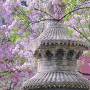法源寺 - 北京市旅游 缩略图 5