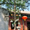 法源寺 - 北京市旅游 缩略图 6