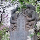法源寺 - 北京市旅游 缩略图 7