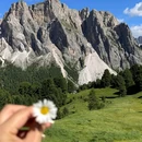 意大利特伦蒂诺-上阿迪杰Bolzano - 其他旅游 缩略图 5