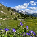 意大利特伦蒂诺-上阿迪杰Bolzano - 其他旅游 缩略图 4