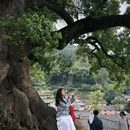 松阳杨家堂乡宿 - 丽水市旅游 缩略图 3