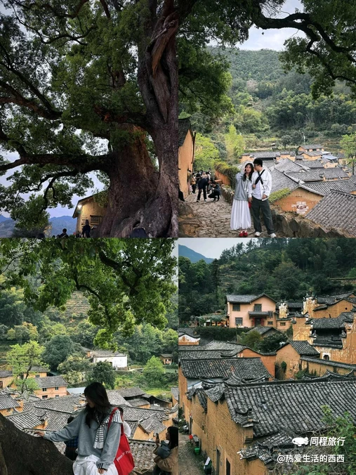 松阳杨家堂乡宿 - 丽水市旅游