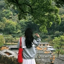 松阳杨家堂乡宿 - 丽水市旅游 缩略图 7