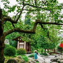 丹景山旅游景区 - 成都市旅游 缩略图 6