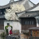 乌镇水市客舍 - 嘉兴市旅游 缩略图 1