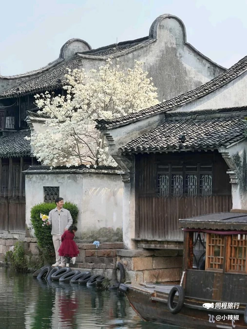 乌镇水市客舍 - 嘉兴市旅游