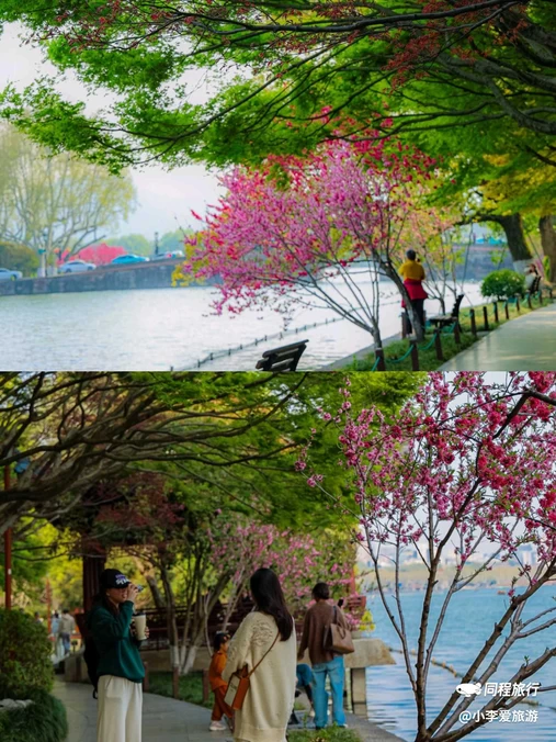 杭州西湖风景名胜区 - 杭州市旅游