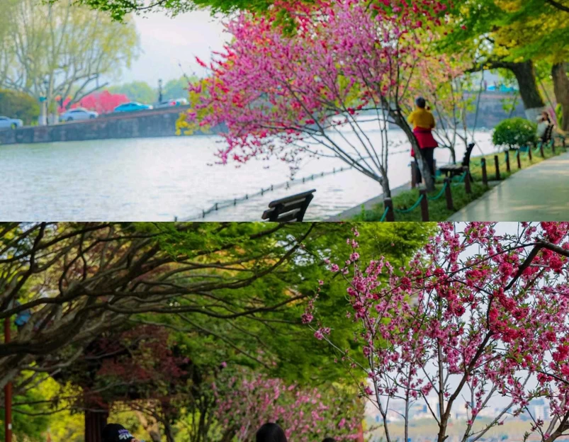 杭州西湖风景名胜区 - 杭州市旅游 1