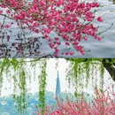 杭州西湖风景名胜区 - 杭州市旅游 缩略图 4