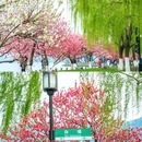 杭州西湖风景名胜区 - 杭州市旅游 缩略图 8