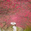 上海城隍庙 - 上海市旅游 缩略图 8