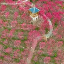上海城隍庙 - 上海市旅游 缩略图 7