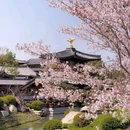 上海宝山寺 - 上海市旅游 缩略图 4