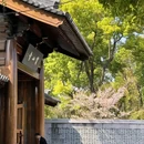 上海宝山寺 - 上海市旅游 缩略图 7