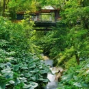 金刚碑·温泉老村 - 重庆市旅游 缩略图 1