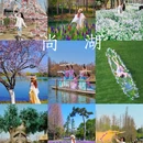 尚湖风景区-江南牡丹馆 - 苏州市旅游 缩略图 1