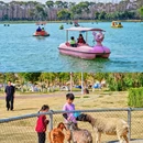 尚湖风景区-江南牡丹馆 - 苏州市旅游 缩略图 7